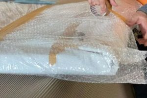 عروض اسعار نجمة الاطلال لنقل العفش بجازان عام 2026